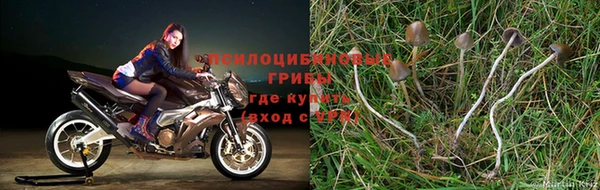 герыч Всеволожск