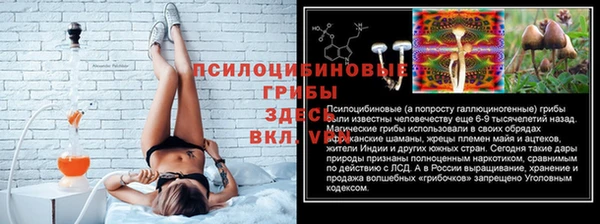 сатива Вуктыл