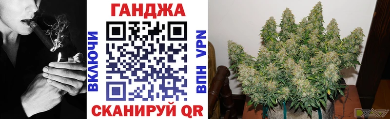 Бошки Шишки планчик Гусиноозёрск